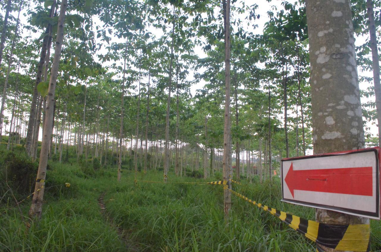 Ibis Budget Cikarang Festival Bekasi Zewnętrze zdjęcie